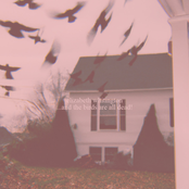 ...and the birds are all dead