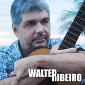 Walter Ribeiro