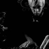 Goldfish photo provided by Last.fm