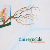 Tim Reynolds: The Limbic System