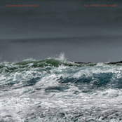 The Apportioned Mass