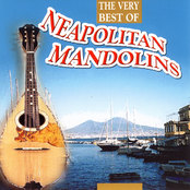 Neapolitan Mandolins