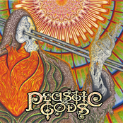 Plastic Gods