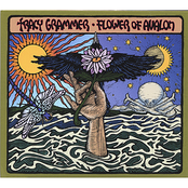 Tracy Grammer: Flower of Avalon