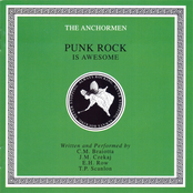Punk Rock Is Awesome