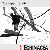 Czekajac Na Fale