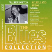 Leaving In The Morning by Big Walter Horton