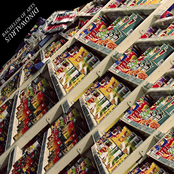 Bachelor of Arts / Dinowalrus Split 7"