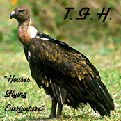 "Houses Flying Everywhere"