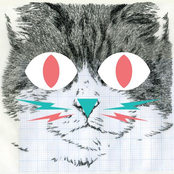 KITSCH CAT