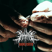 Peacemaker FL: 1000 Cuts