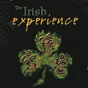 The Irish Experience