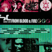 Select Cuts From Blood & Fire