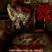 Contamination Of Whores