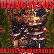 Killing on Adrenaline