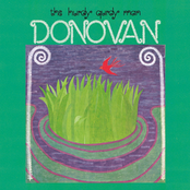 Donovan: The Hurdy Gurdy Man