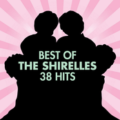 Stop The Music by The Shirelles