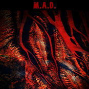 M.A.D.