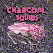 Charcoal Squids