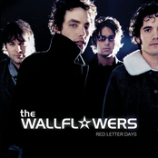 The Wallflowers: Red Letter Days