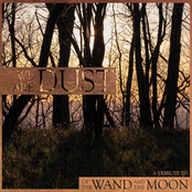 We Are Dust-A Tribute To Of The Wand And The Moon