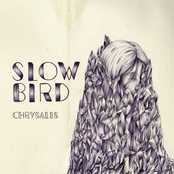 Slow Bird: Chrysalis