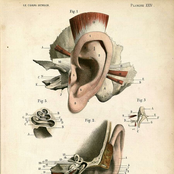 Adventures in Psychoacoustics