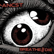 3​,​5" Floppy Split with Ancst