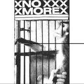 xno morex