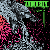 Tooth Grinder by Animosity