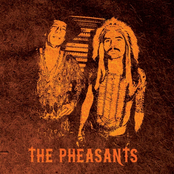 The Pheasants