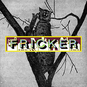 FRICKER