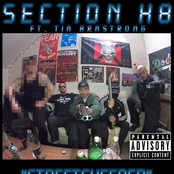 Section H8: Streetsweeper