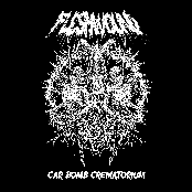 Fleshwound: Car Bomb Crematorium