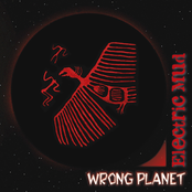 Electric Mud: Wrong Planet