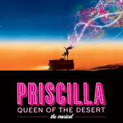 priscilla queen of the desert