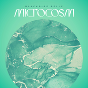 Microcosm