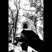 Elevation Within the Mists of Naaltrah