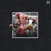 Humilitarian: She Said