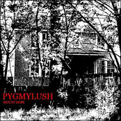 Asphalt by Pygmy Lush