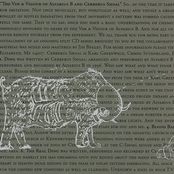 The Vim & Vigour Of Alvarius B & Cerberus Shoal