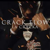 Crack Flow