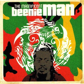 Borrolero by Beenie Man