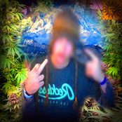 Smokedope2016: The Peak