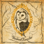 What Do You Know About The World, Being Such A Coward?