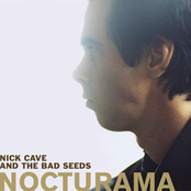 Still In Love by Nick Cave & The Bad Seeds