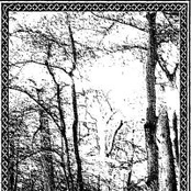 Forest Grave / Arete