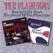 Never In This World by The Flamingos