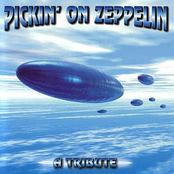 Led Zeppelin Tribute: Pickin' On Led Zeppelin - A Tribute