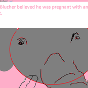 I don't wanna ride yer aul one anymore.